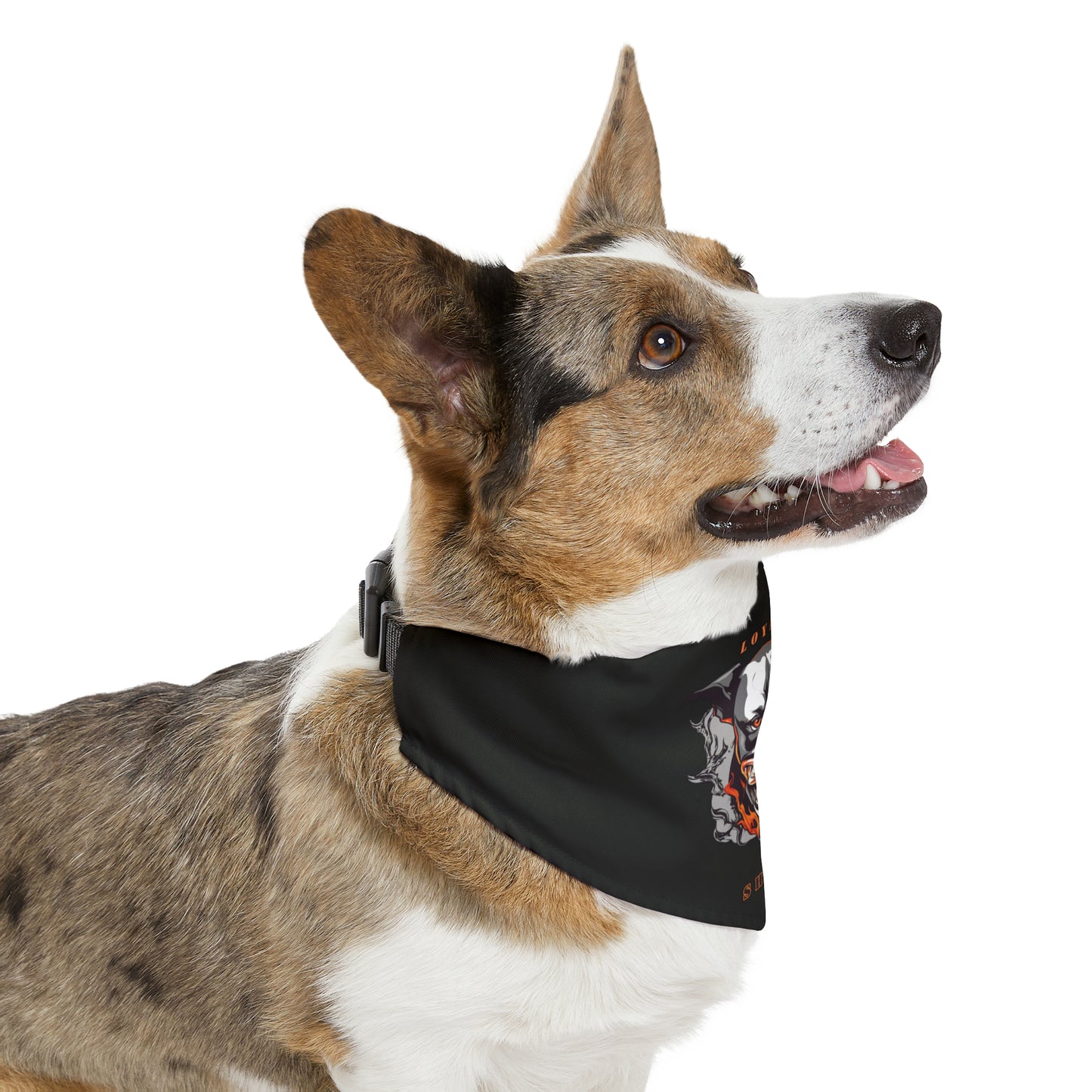 Loyal Shadow Pet Bandana Easy Clip